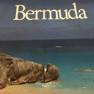 VTG Delta Airlines Bermuda Travel Poster